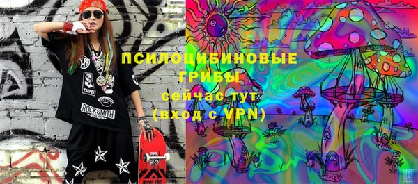 apvp Армянск