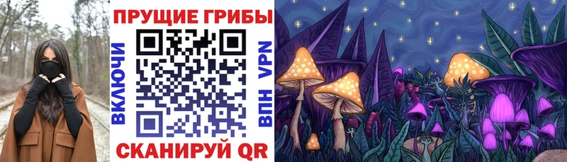 Галлюциногенные грибы Magic Shrooms  мега ССЫЛКА  Нефтегорск  купить наркотик 